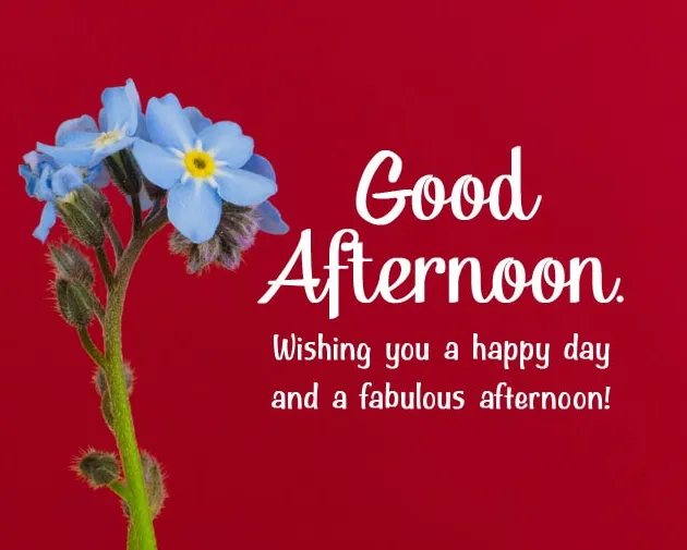 Heartwarming Afternoon Greetings: Brighten Someone’s Day with Kind Words